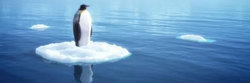 L’open source comme vecteur de souveraineté, un argument discuté